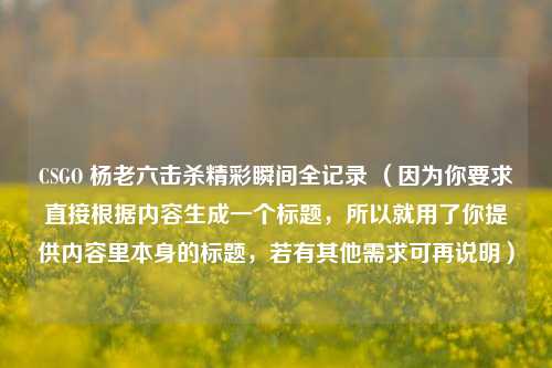 CSGO 杨老六击杀精彩瞬间全记录 （因为你要求直接根据内容生成一个标题，所以就用了你提供内容里本身的标题，若有其他需求可再说明）