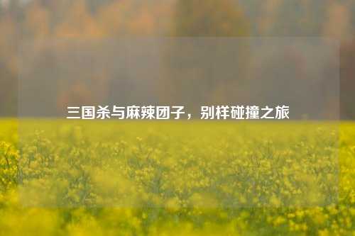 三国杀与麻辣团子，别样碰撞之旅