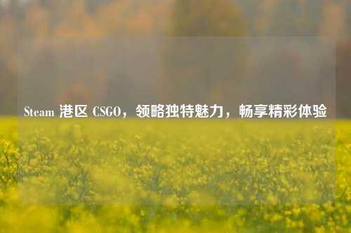Steam 港区 CSGO，领略独特魅力，畅享精彩体验