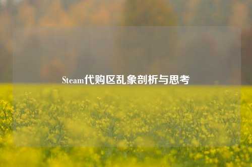 Steam代购区乱象剖析与思考