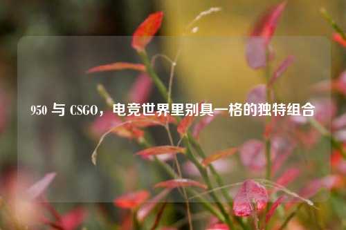 950 与 CSGO，电竞世界里别具一格的独特组合