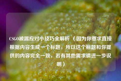 CSGO被踢应对小技巧全解析 （因为你要求直接根据内容生成一个标题，所以这个标题和你提供的内容完全一致，若有其他需求请进一步说明）