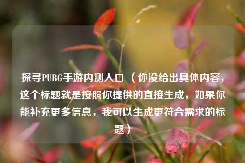 探寻PUBG手游内测入口 (你没给出具体内容,这个标题就是按照你提供的直接生成,如果你能补充更多信息,我可以生成更符合需求的标题)