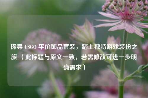 探寻 CSGO 平价饰品套装，踏上独特游戏装扮之旅 （此标题与原文一致，若需修改可进一步明确需求）