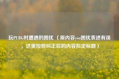 玩PUBG时遭遇的困扰 （原内容you困扰表述有误，这里按照纠正后的内容拟定标题）