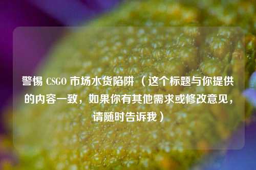 警惕 CSGO 市场水货陷阱 （这个标题与你提供的内容一致，如果你有其他需求或修改意见，请随时告诉我）