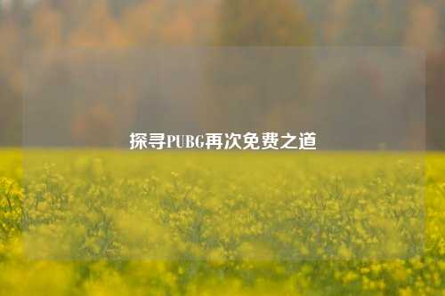 探寻PUBG再次免费之道
