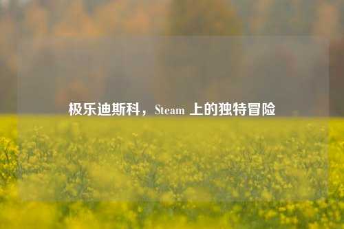 极乐迪斯科，Steam 上的独特冒险