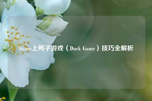 Steam上鸭子游戏（Duck Game）技巧全解析