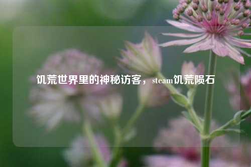 饥荒世界里的神秘访客，steam饥荒陨石