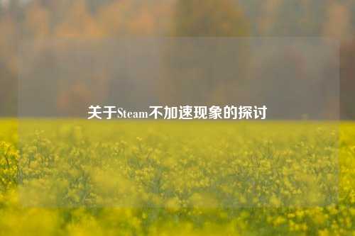 关于Steam不加速现象的探讨
