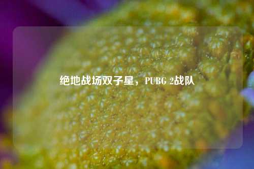 绝地战场双子星,PUBG 2战队