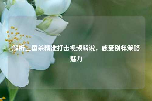 解析三国杀精准打击视频解说，感受别样策略魅力