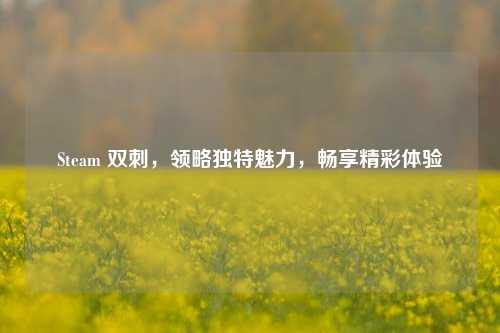 Steam 双刺，领略独特魅力，畅享精彩体验