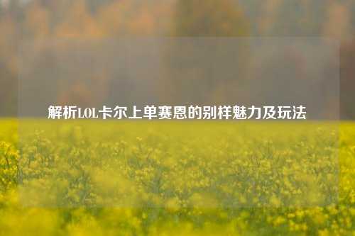 解析LOL卡尔上单赛恩的别样魅力及玩法