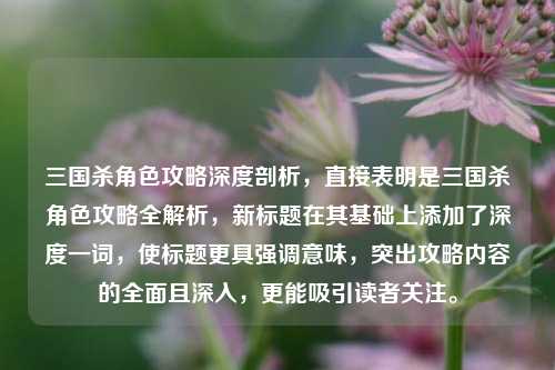 三国杀角色攻略深度剖析,直接表明是三国杀角色攻略全解析,新标题在其基础上添加了深度一词,使标题更具强调意味,突出攻略内容的全面且深入,更能吸引读者关注。