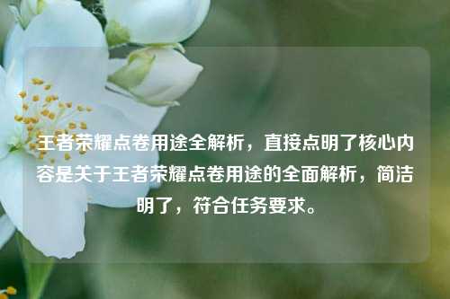 王者荣耀点卷用途全解析，直接点明了核心内容是关于王者荣耀点卷用途的全面解析，简洁明了，符合任务要求。