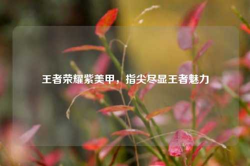 王者荣耀紫美甲,指尖尽显王者魅力