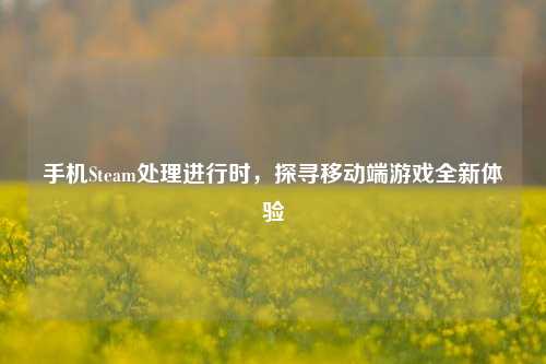 手机Steam处理进行时,探寻移动端游戏全新体验