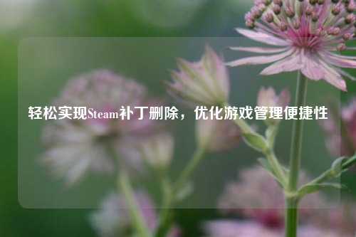 轻松实现Steam补丁删除,优化游戏管理便捷性
