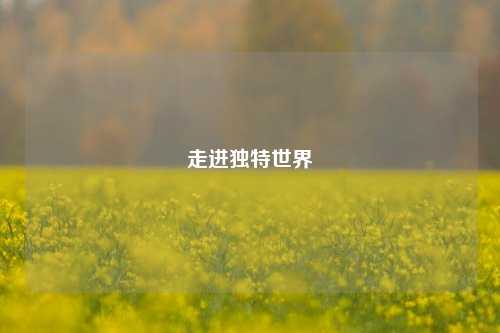 走进独特世界