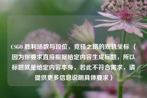 CSGO 胜利场数与段位，竞技之路的双轨坐标 （因为你要求直接根据给定内容生成标题，所以标题就是给定内容本身，若此不符合需求，请提供更多信息说明具体要求）