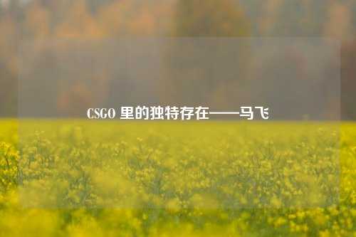 CSGO 里的独特存在——马飞