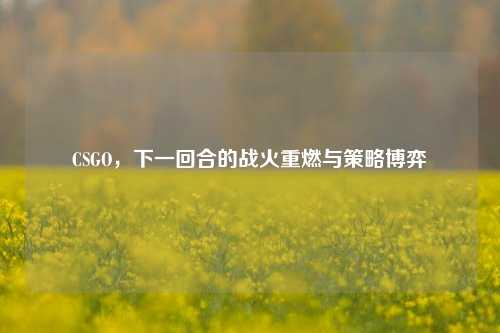 CSGO，下一回合的战火重燃与策略博弈