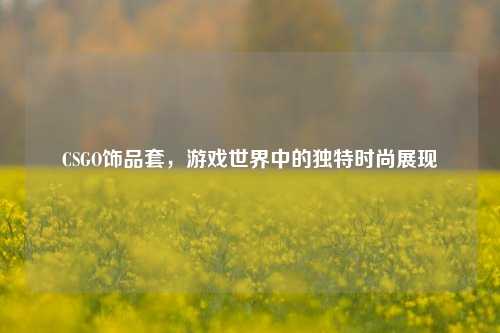CSGO饰品套，游戏世界中的独特时尚展现
