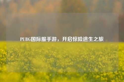 PUBG国际服手游，开启惊险逃生之旅