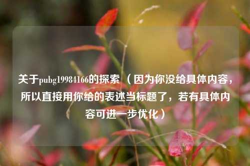 关于pubg19984166的探索 （因为你没给具体内容，所以直接用你给的表述当标题了，若有具体内容可进一步优化）
