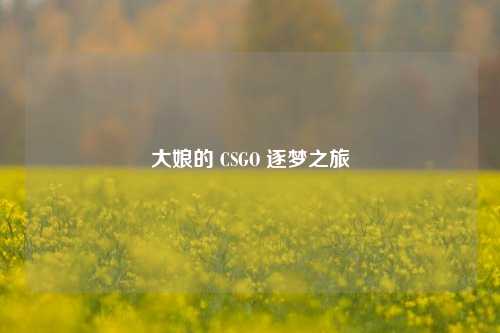 大娘的 CSGO 逐梦之旅