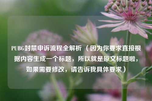 PUBG封禁申诉流程全解析 （因为你要求直接根据内容生成一个标题，所以就是原文标题啦，如果需要修改，请告诉我具体要求）