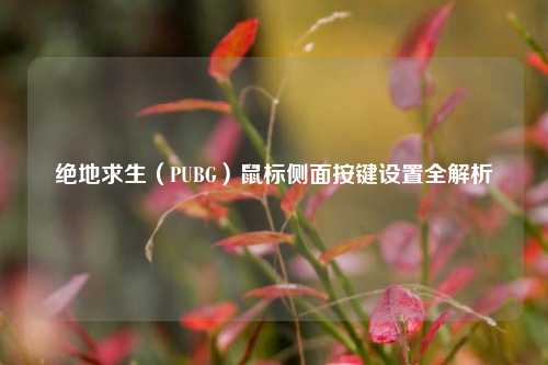 绝地求生（PUBG）鼠标侧面按键设置全解析