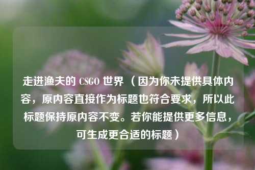 走进渔夫的 CSGO 世界 （因为你未提供具体内容，原内容直接作为标题也符合要求，所以此标题保持原内容不变。若你能提供更多信息，可生成更合适的标题）