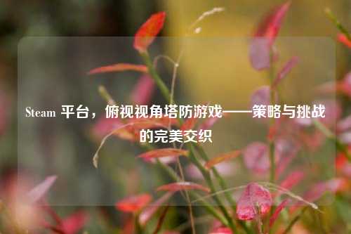 Steam 平台，俯视视角塔防游戏——策略与挑战的完美交织