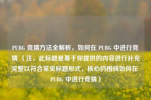PUBG 竞猜方法全解析,如何在 PUBG 中进行竞猜 (注,此标题是基于你提供的内容进行补充完整以符合常见标题形式,核心仍围绕如何在 PUBG 中进行竞猜)