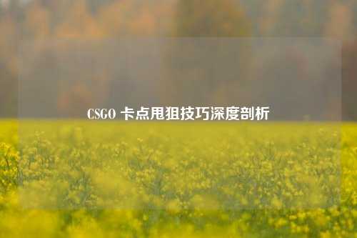 CSGO 卡点甩狙技巧深度剖析