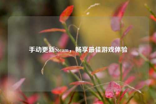 手动更新Steam，畅享最佳游戏体验
