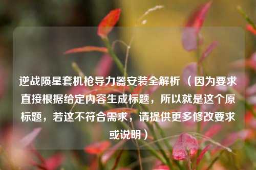 逆战陨星套机枪导力器安装全解析 （因为要求直接根据给定内容生成标题，所以就是这个原标题，若这不符合需求，请提供更多修改要求或说明）