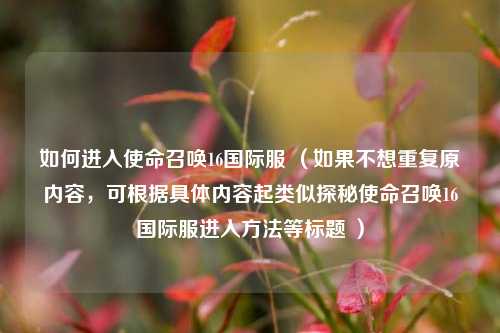 如何进入使命召唤16国际服 （如果不想重复原内容，可根据具体内容起类似探秘使命召唤16国际服进入方法等标题 ）