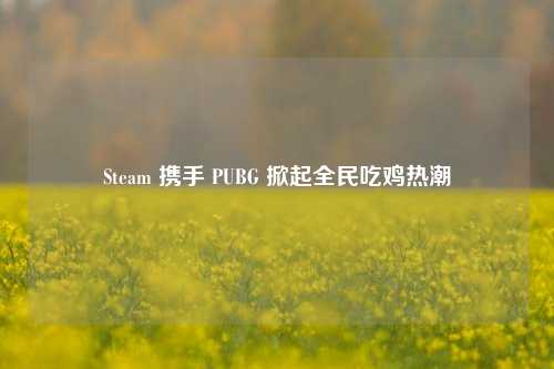Steam 携手 PUBG 掀起全民吃鸡热潮