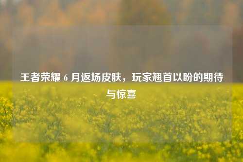 王者荣耀 6 月返场皮肤,玩家翘首以盼的期待与惊喜