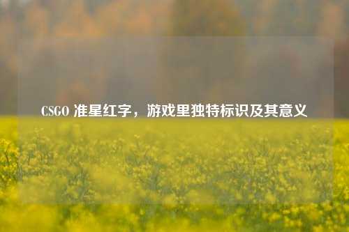 CSGO 准星红字，游戏里独特标识及其意义