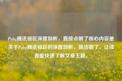 Pubg腾讯锁区深度剖析，直接点明了核心内容是关于Pubg腾讯锁区的深度剖析，简洁明了，让读者能快速了解文章主题。