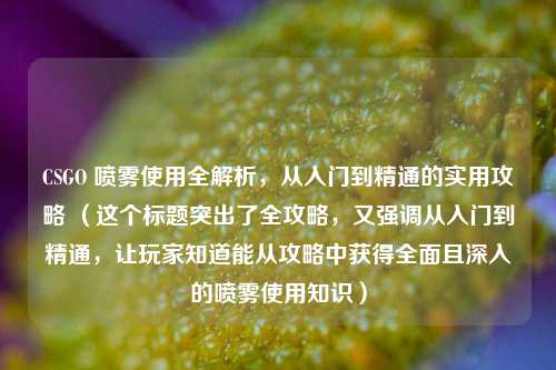 CSGO 喷雾使用全解析，从入门到精通的实用攻略 （这个标题突出了全攻略，又强调从入门到精通，让玩家知道能从攻略中获得全面且深入的喷雾使用知识）