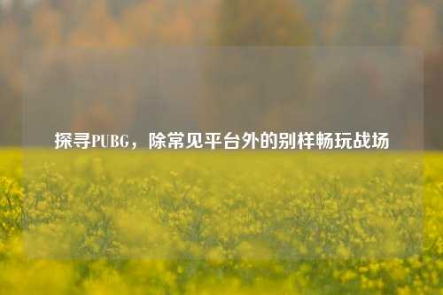 探寻PUBG，除常见平台外的别样畅玩战场