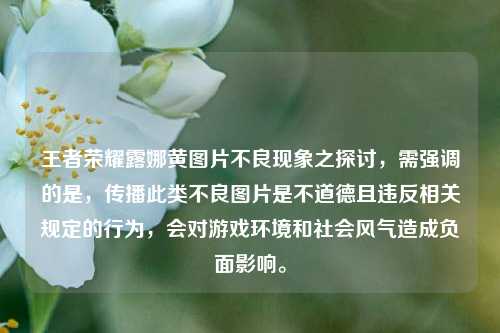 王者荣耀露娜黄图片不良现象之探讨,需强调的是,传播此类不良图片是不道德且违反相关规定的行为,会对游戏环境和社会风气造成负面影响。