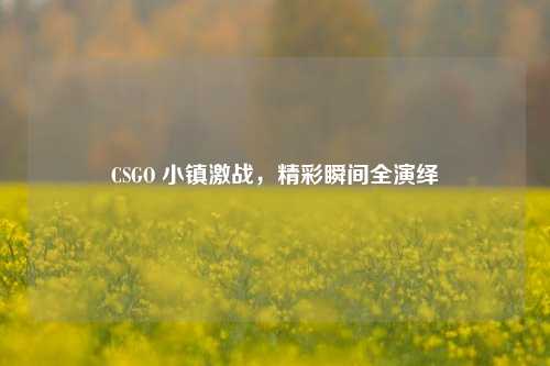 CSGO 小镇激战，精彩瞬间全演绎