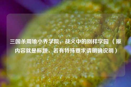 三国杀周瑜小乔学院,战火中的别样学园 (原内容就是标题,若有特殊要求请明确说明)